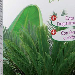 Altea cycas Dünger