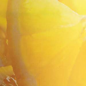 Duftkerze Zitronengras gelb