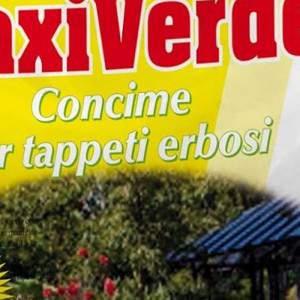 Fertilizante para gramados maxi verde