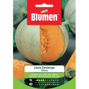 Melone Liscio Cantalupo semi