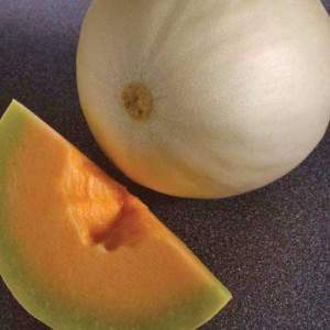Gladde Cantaloupe Meloen