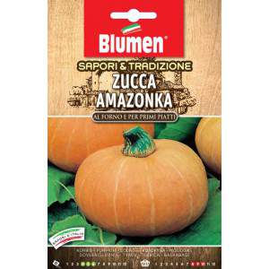 Zucca Amazonka semi