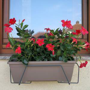 Silvano antracita 40 cm con flores rojas.