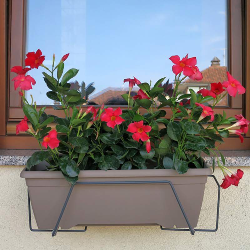 Silvano color antracite da 40 cm con fiori rossi. Silvano color antracite da 40 cm con fiori rossi.
