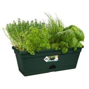 GREEN BASICS TROUGH MINI 30 CM vert foncé