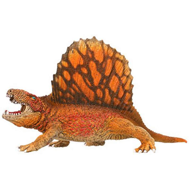 DIMETRODONTE DIMETRODONTE