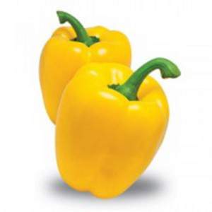 Vierkante gele paprika