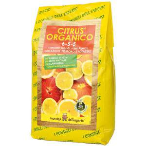 Organic citrus bag