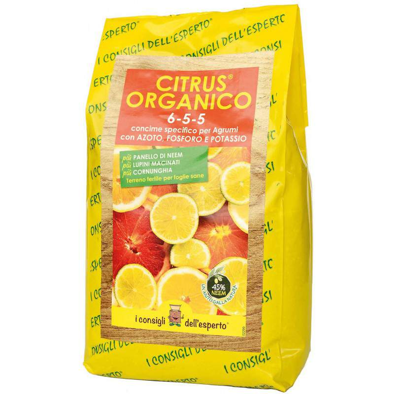 Sacchetto citrus organico Sacchetto citrus organico