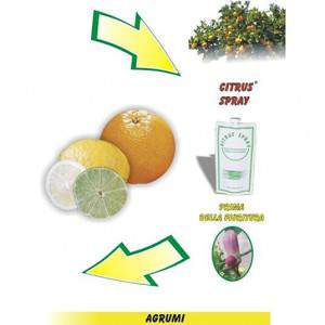 Citrusspray - voor de bloei