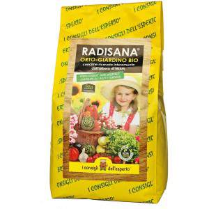 Radisana Tasche