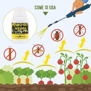 Olio di Neem - come si usa