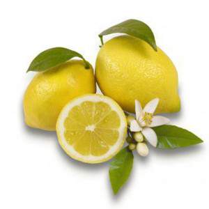 citroen fruit en bloem