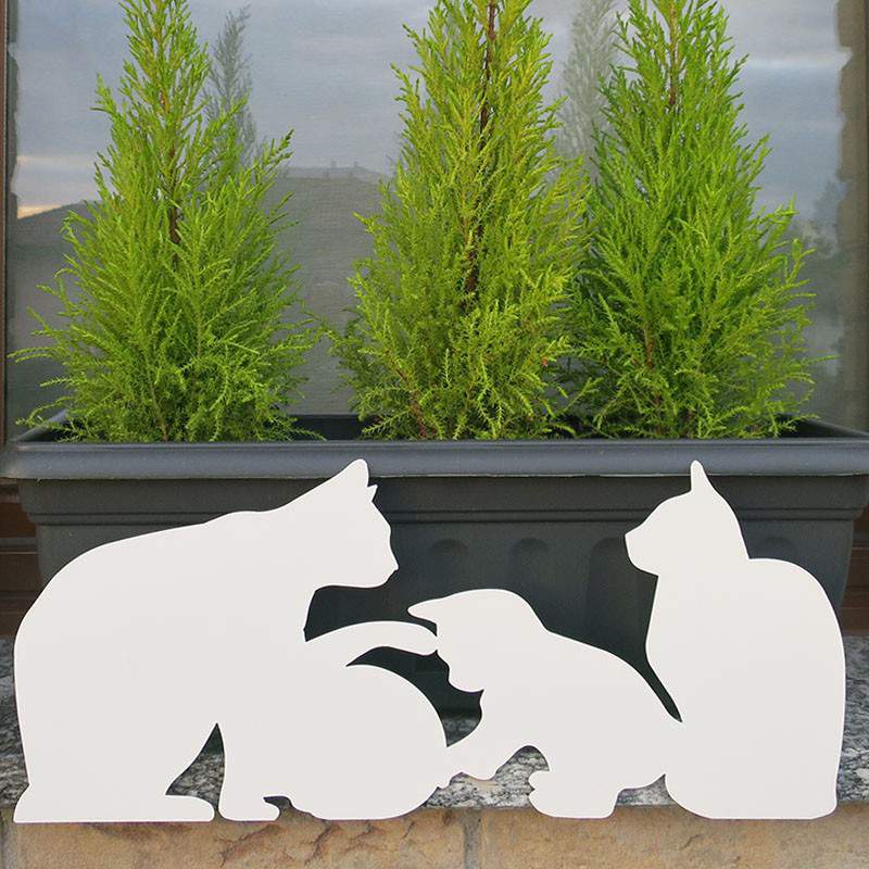vasosecure white cats vasosecure white cats