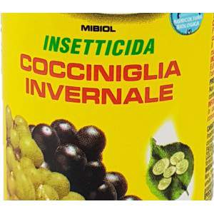 Insecticide huile blanche de cochenille d'hiver 500ml - GardenStuff