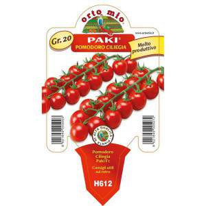 Cherry Tomato Paki flowerpot 10 cm