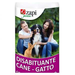 Disa chien habituel - chat Zapi - zoom