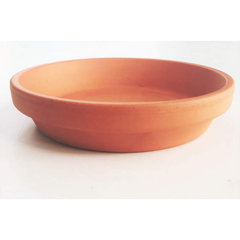 Mini Saucer in Terracotta 12cm Mini Saucer in Terracotta 12cm