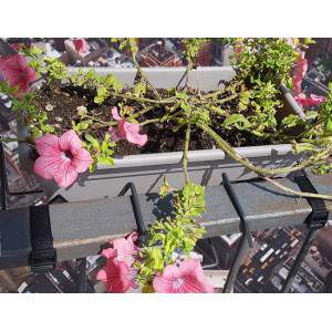 Safety straps for railings against the accidental fall of flowerpots