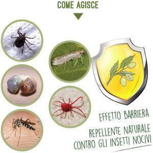 Olio di Neem - come agisce