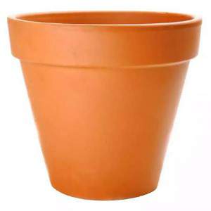 STANDAARD POT TERRACOTTA 5cm