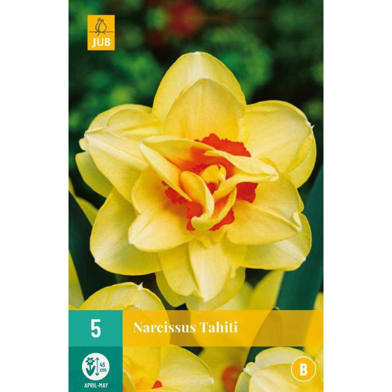 Bulbos de narciso de doble flor - GardenStuff Bulbos de narciso de doble flor - GardenStuff
