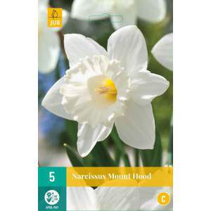 hoorn narcissen bulb mount kap wit met gele stamper