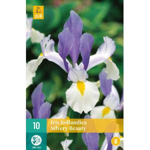Bollen van iris hollandica zilveren schoonheid