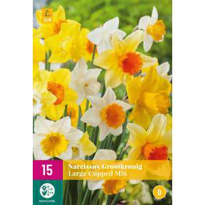 Lökar av Narcissus Largeflowering Mix