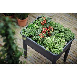 Mesa de cultivo Elho Green Basics Super Xxl - Jardinera - Verde hoja - Exterior - L 76,7 x An 58,1 x Al 73,1 cm