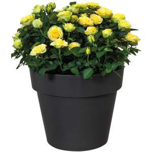 Elho Flower Pot Green Basics Top Pflanzgefäß 23 cm in Aktivschwarz, 23 x 23 x 19 cm