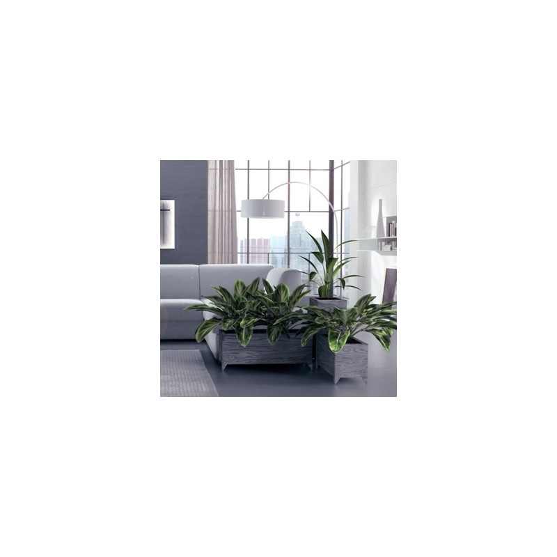Hoge opvouwbare plantenbak 20x60 luxe uitvoering