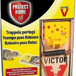Trap Snap Mice in Wood with Victor spring