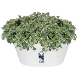 LOFT URBAN WALL BASKET 40 WHITE
