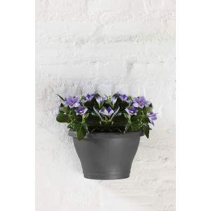 CORSICA WALL BASKET 25CM ANTHRACITE