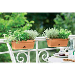 Elho Green Basics Trough Mini Allin1 30 - Jardinera - Verde hoja - Exterior y balcón - L 30,2 x W 19,5 x H 15,6 cm
