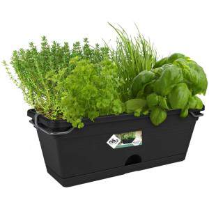 Elho Green Basics Trog Mini Allin1 30 - Plantenbak - Bladgroen - Buiten &amp; Balkon - L 30,2 x B 19,5 x H 15,6 cm