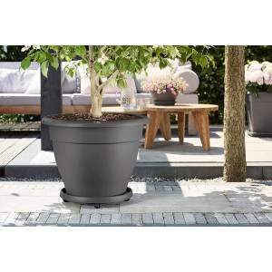 elho Universal Planttaxi Flower Pot, Anthracite, ⌀ 34,5 x H 5,1 cm