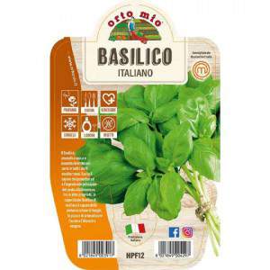 GENOVESE BASILICUM VAAS 14