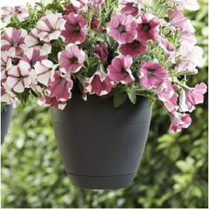 FLOW round hanging pot with integrated anthracite saucer