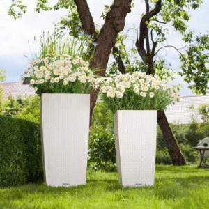 Vase Lechuza Cubic Cottage...