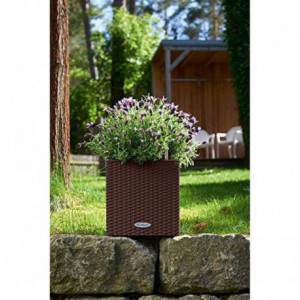 Vase Lechuza Cube Cottage...