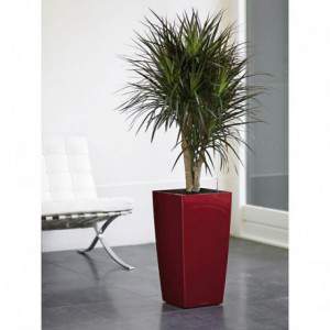 LECHUZA Cubic Vase Red...