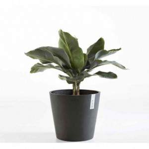 Ecopots Amsterdam Vase Dark...