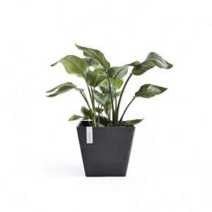 Ecopots Rotterdam Vase Dark...