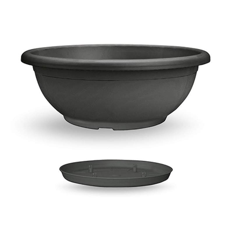 Naxos Flower Bowl with... Naxos Flower Bowl with...