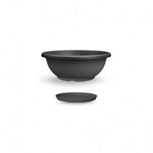 Naxos Bowl 50 cm mit anthrazitfarbener Untertasse