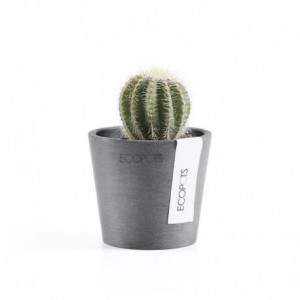 Vaso Ecopots Amsterdam Mini...