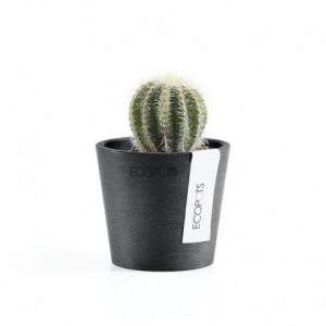 Vaso Ecopots Amsterdam Mini...