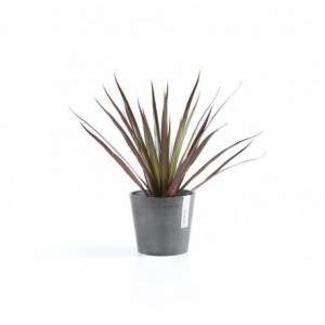 Vaso Ecopots Amsterdam Mini...